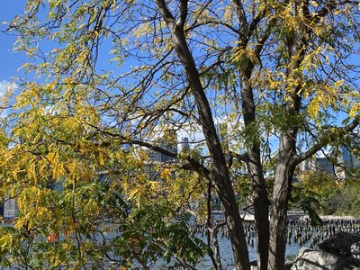 IMG_5495.jpeg IMG_5495.jpeg