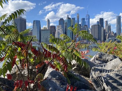 IMG_5497.jpeg IMG_5497.jpeg