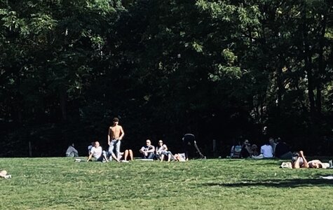 IMG_5498.jpeg IMG_5498.jpeg