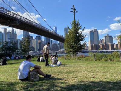 IMG_5505.jpeg IMG_5505.jpeg