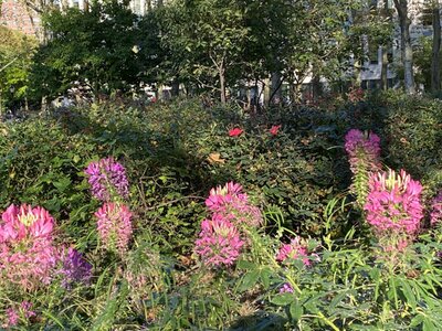 IMG_5512.jpeg IMG_5512.jpeg