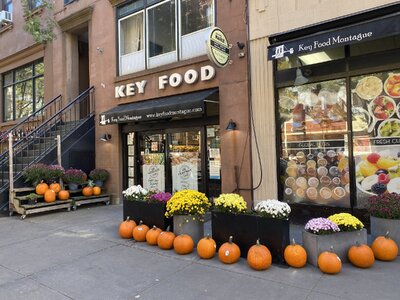 IMG_5516.jpeg IMG_5516.jpeg