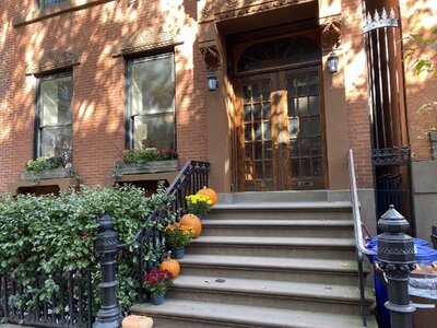 IMG_5517.jpeg IMG_5517.jpeg