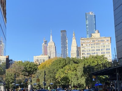 IMG_5577.jpeg IMG_5577.jpeg