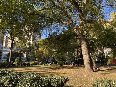 IMG_5580.jpeg IMG_5580.jpeg