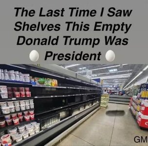 IMG_2758.jpeg