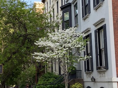 IMG_6163.jpeg