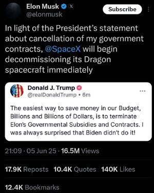 elon 1.jpg