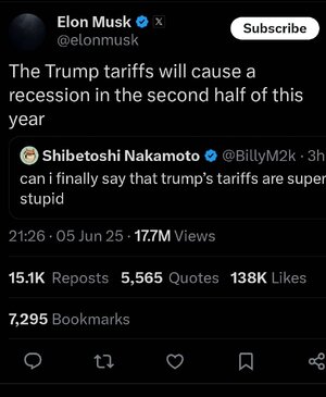 elon 2.jpg