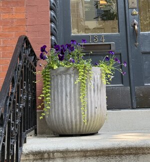 IMG_0049.jpeg