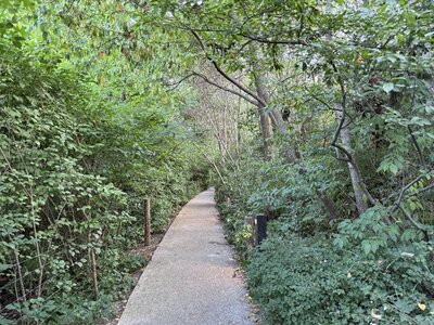 IMG_0160.jpeg