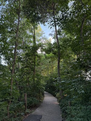 IMG_0161.jpeg