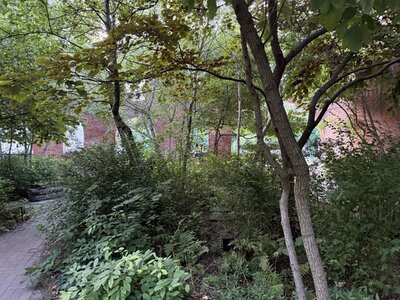 IMG_0172.jpeg