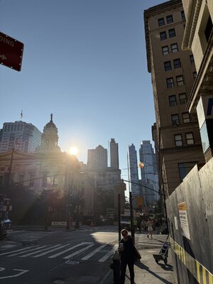 IMG_0229.jpeg