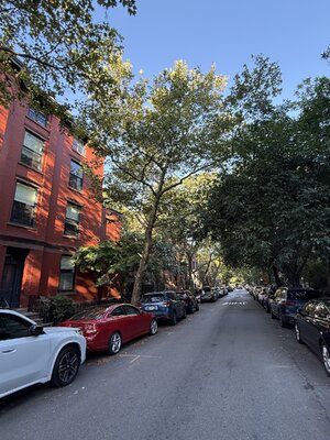 IMG_0314.jpeg