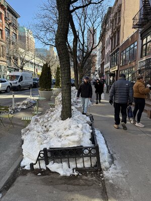 IMG_0850.jpeg IMG_0850.jpeg