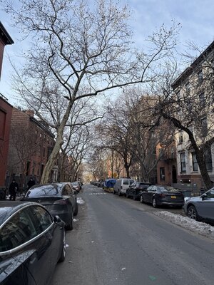 IMG_0891.jpeg IMG_0891.jpeg