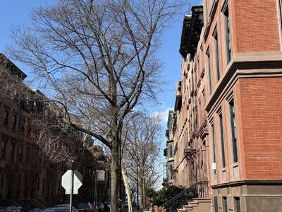 IMG_0924.jpeg IMG_0924.jpeg