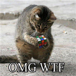 image025.gif