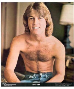 andy gibb.jpg