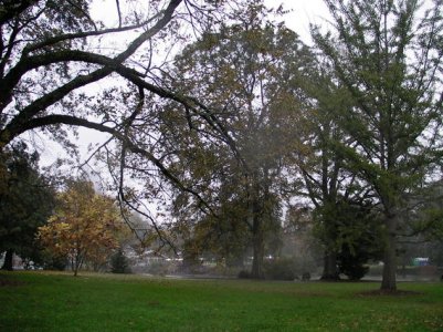 SANY0054.jpg