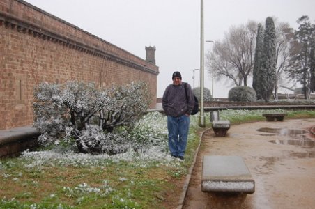 DSC_0965.jpg