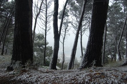 DSC_0978.jpg