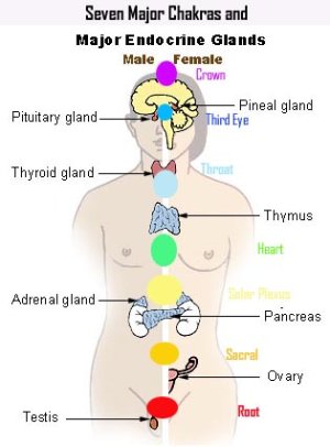 chakra-chart-1.jpg