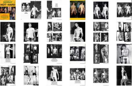 Horny-Hot-n-Hard-screens.jpg