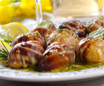Les escargots.jpg