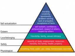 300px-Maslow's_Hierarchy_of_Needs_svg.jpg