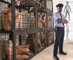 caged boys.jpg