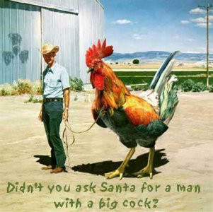 cock.jpg