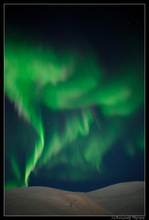 auroras3.jpg