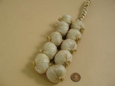 garlic_strings.jpg