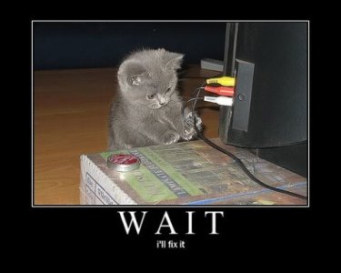 WAIT.jpg