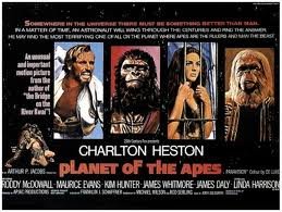 ape3.jpg