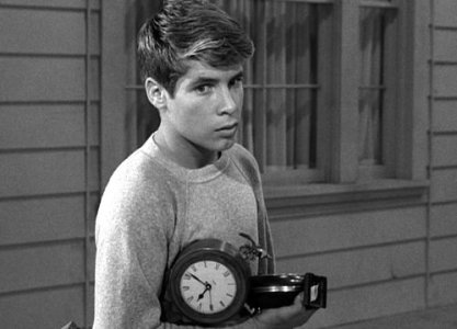 284748-don-grady-in-a-scene-from-my-three-sons.jpg