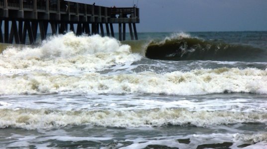 JAX 12 030.jpg