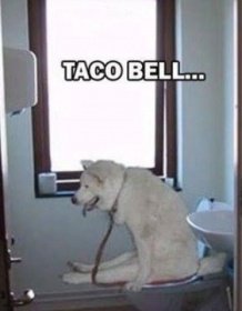 Taco Bell Pic.jpg