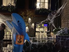 1121EA24-F063-4A88-A1AC-BE5895EF1EE9.jpeg 1121EA24-F063-4A88-A1AC-BE5895EF1EE9.jpeg