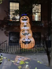 57807D6F-22CC-4200-8071-09AB843463E6.jpeg 57807D6F-22CC-4200-8071-09AB843463E6.jpeg