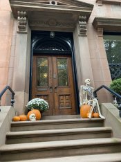 6184E8C6-4DA8-48D0-8A27-37E0B6332D18.jpeg 6184E8C6-4DA8-48D0-8A27-37E0B6332D18.jpeg