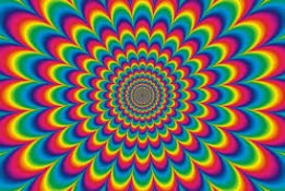 949D507B-1564-4A81-8F31-465C6C31F401.jpeg 949D507B-1564-4A81-8F31-465C6C31F401.jpeg