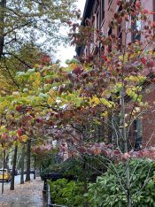 5E244C5A-5961-4E20-8E6C-602BCADAB32D.jpeg 5E244C5A-5961-4E20-8E6C-602BCADAB32D.jpeg